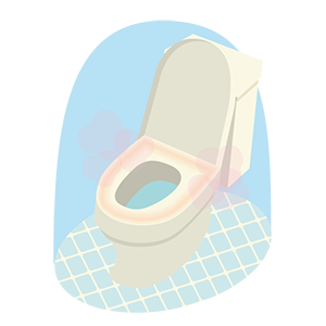 古いトイレ